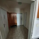 Apartmán Sving Horni Misecky *